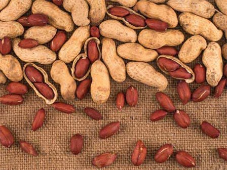 Ăn 1 nắm lạc nhỏ mỗi ngày nhận 8 lợi ích quý hơn vàng
