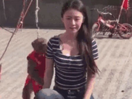 Cô gái trẻ bị khỉ kéo áo, sờ ngực giữa phố