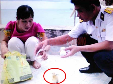 Mua trứng vịt lộn về ăn trong ngày nóng khủng khiếp, cô gái bất đắc dĩ trở thành vịt mẹ-6