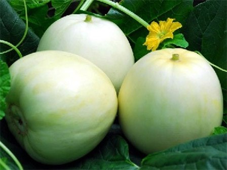 Mang bầu ngày nắng nóng, mẹ bầu đừng bỏ qua loại quả