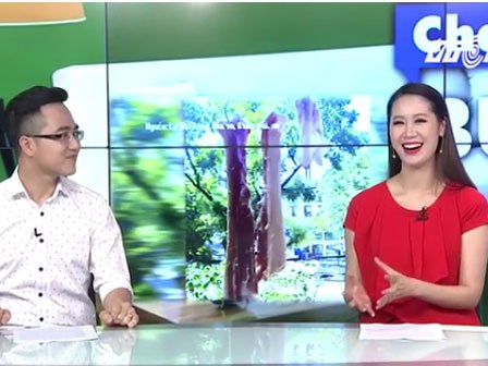 “Thịt lợn 1 nắng” - sáng kiến của bà nội trợ ngày nắng nóng