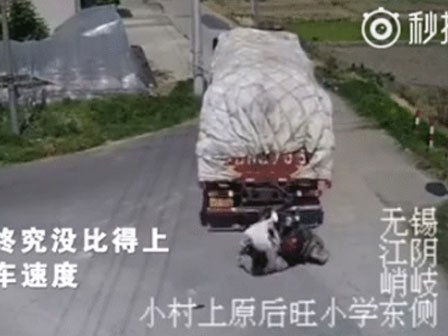 Không quan sát kỹ khi lùi xe, tài xế lái container đè bẹp cặp đôi trung niên