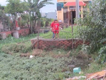 Chồng hờ truy sát vợ, quăng xuống ruộng rau