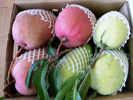 Dân mạng nổi da gà với cô gái ăn bánh mì bò kho suýt thành trò nuốt lưỡi dao lam kinh dị-5