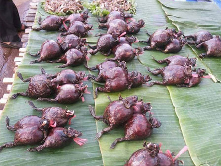 Kinh hãi món cá nhảy tanh tách trong cổ họng dân nhậu ở Sơn La-3