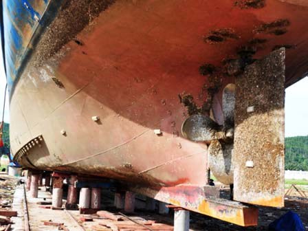 Ngư dân trần tình lý do rút đơn kiện vụ tàu thép chục tỷ nằm bờ