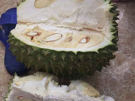 Đăng ảnh bổ sầu riêng của 