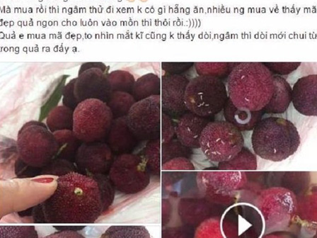 Giải nhiệt với quả thanh mai Tàu: Coi chừng nuốt dòi vào bụng-4