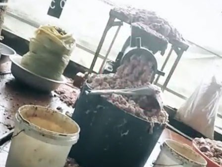 Mỡ lợn ôi thiu vứt ngổn ngang trên sàn cáu bẩn, ruồi nhặng bâu đầy