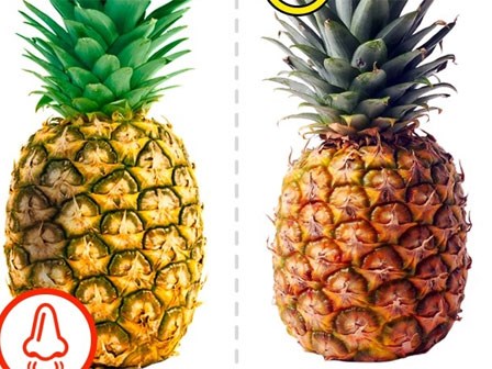 Muốn mua dứa ngon phải nhìn vào lá, còn bơ ngon thì phải nhìn vào…