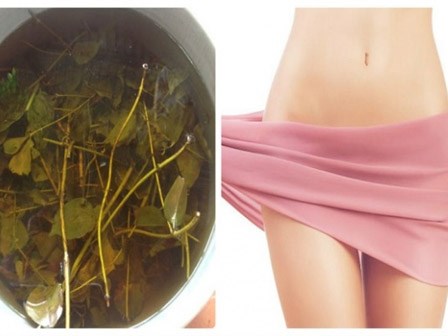 Chữa dứt điểm viêm ngứa vùng kín hiệu quả không ngờ từ lá chanh