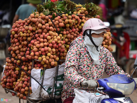 Hơn 80 doanh nghiệp Trung Quốc sang mua vải thiều-2