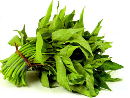 4 loại lá giúp trẻ mát da, trị rôm sảy mùa hè hiệu quả-2