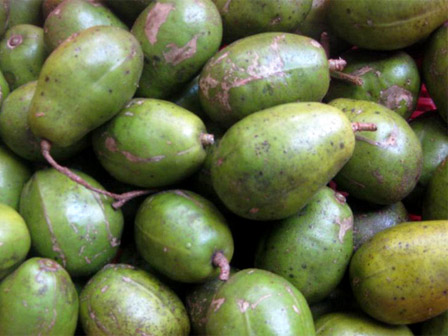 Loại quả mùa hè giá rẻ như bèo là thần dược sức khỏe-3