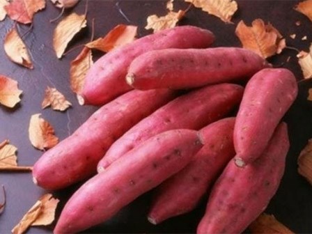 3 điều cấm kỵ khi ăn khoai lang mà bạn cần biết