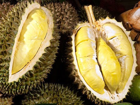 Khi nào sầu riêng trở thành chất độc với cơ thể?