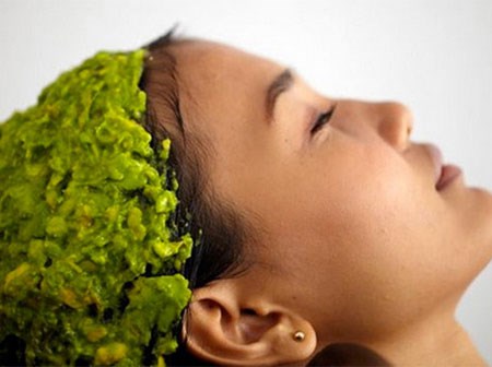 Đang mùa bơ, tranh thủ mua về ủ tóc, đắp mặt, đắp toàn thân luôn chị em