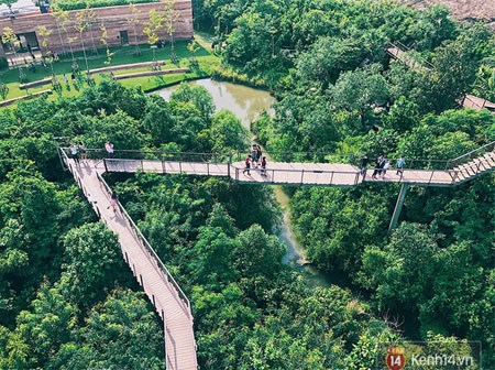 Đến Bangkok, đừng quên ghé khu rừng 