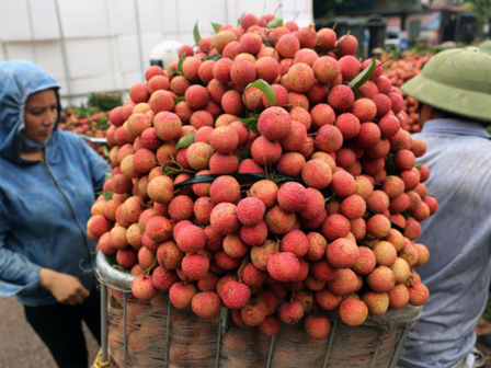 Bé trai bất tỉnh vì ăn vải khi đói: ghi nhớ quy tắc 4 người, 2 thời điểm” cần tránh-4