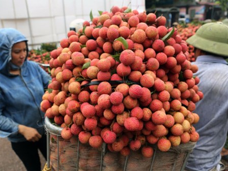 Những thời điểm ăn vải gây hại cho cơ thể