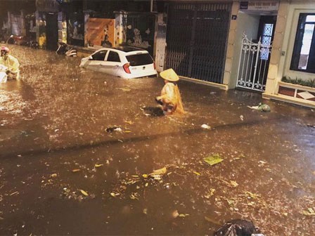 Bất chợt mưa lớn, Hà Nội ngập nặng