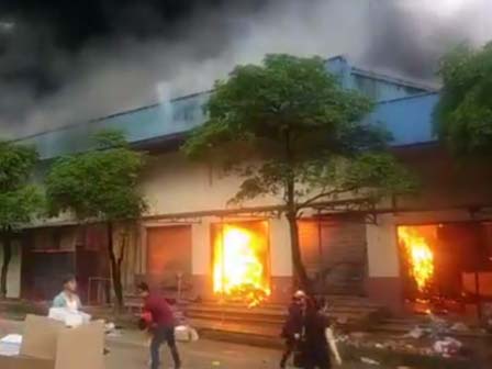 Chợ cửa khẩu Móng Cái gặp thảm cảnh, hàng loạt kiot đóng cửa-6