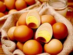 Nuôi gà siêu trứng kiểu ấm đông, mát hè kiếm trăm triệu mỗi năm-4
