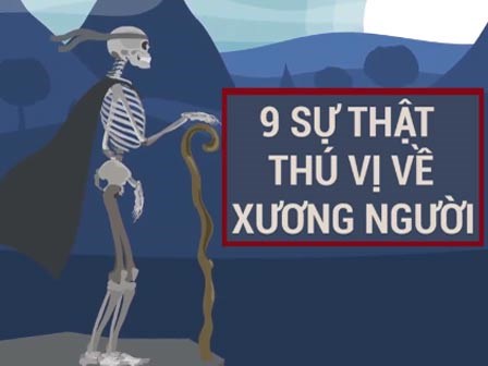 9 sự thật thú vị về hệ thống xương người