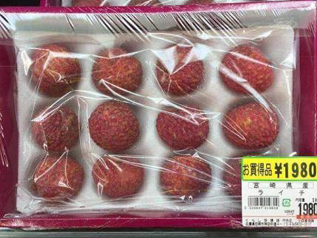 Lá hồi sinh bán đầy chợ Việt 1-2 ngàn/mớ, ở Nhật phải mua ăn từng lá một-9