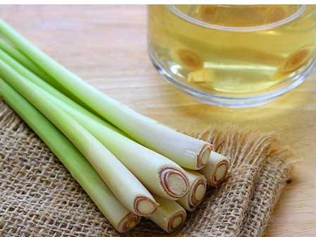 Bỏ ra 5 nghìn mua bó sả về chưng nước, mẹo hay cho các chị em da dầu và dễ nổi mụn