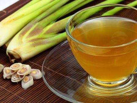Cách chống muỗi đơn giản để hạn chế sốt xuất huyết