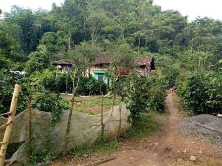 Mắc bệnh lạ, 13 người nói nhảm, nhảy múa suốt ngày