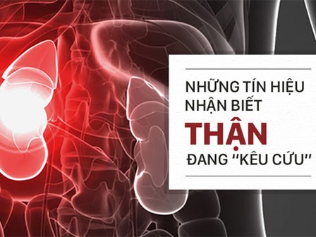 Khi bạn có khoảng 6 dấu hiệu này trở lên, thì hãy coi chừng thận đang trên đà hỏng nặng!