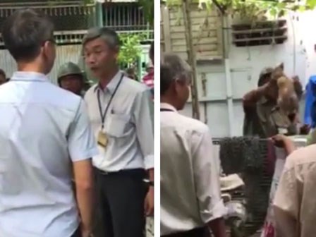 'Cán bộ bẻ khóa vào nhà dân bắt 9 con gà Đông Tảo là trái luật'