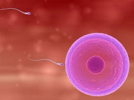 5 cách tăng số lượng tinh binh cho quý ông