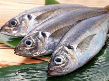 Cách chọn cá biển đông lạnh tươi ngon, không hóa chất