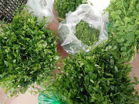 Rau rừng giá ‘chát’ được lòng bà nội trợ thủ đô-4
