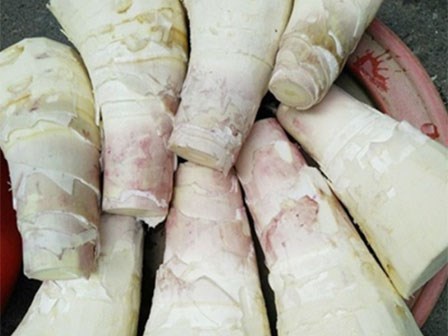 Ăn măng tươi nhất định phải biết điều này để phòng tránh ngộ độc