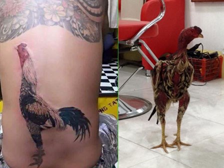 Vợ ấm ức kể chuyện chồng tự tay giã rượu gừng đắp bụng, đêm bật dậy mắc màn cho