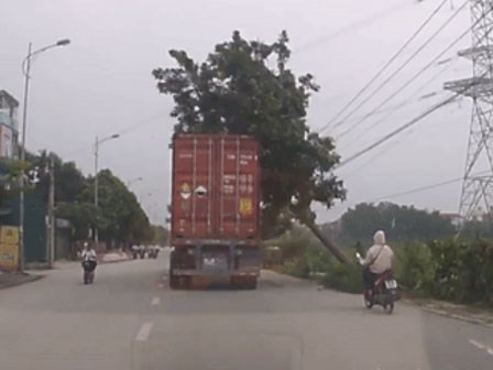 Xe container đâm gãy cành cây, cô gái đi xe máy 