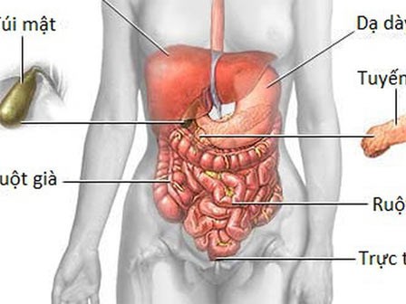 Căn bệnh ung thư chỉ có 4/100 người sống trên 5 năm: Cảnh báo từ cơn đau bụng