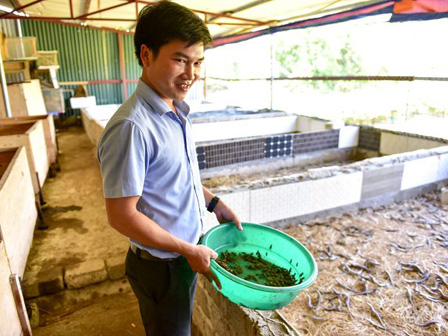 Thực hư thông tin đặc sản bọ cạp đen chữa được bệnh ung thư-3