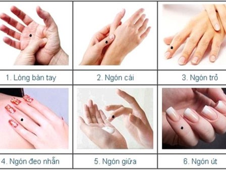Câu nói: 