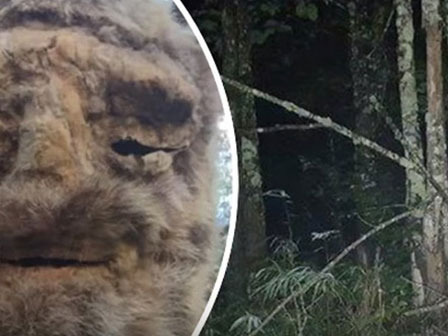 Hé lộ thân phận thực sự về sinh vật lạ nghi là em bé ngoài hành tinh” mang lời nguyền chết chóc từng gây rúng động cách đây 23 năm-5