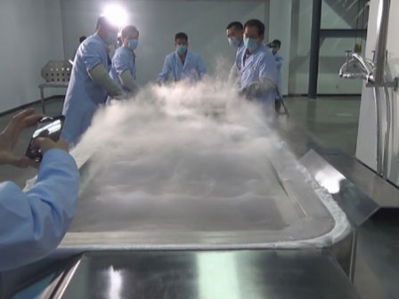 Vợ qua đời để lại di nguyện nhờ chăm sóc cây, chồng nghe theo răm rắp suốt nhiều năm trời đến lúc dọn nhà mới biết bị... chơi khăm-5