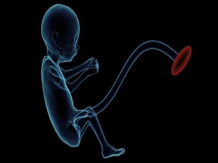 Lời nhắn nhủ của bà mẹ vừa mất con ở tuần thai 39 các mẹ đang và sẽ mang bầu không thể ngó lơ