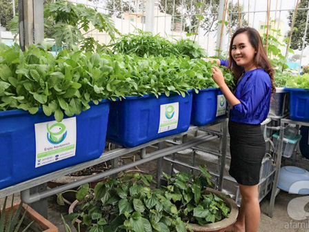 Ngưỡng mộ bà mẹ Hà thành trồng rau, nuôi chim gà trên sân thượng-14