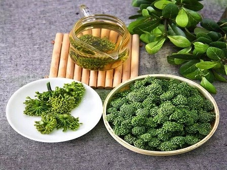 Kiên trì uống mỗi ngày một thìa bột này, giáo sư Đông y hơn 70 tuổi nhưng vẫn trẻ như 50