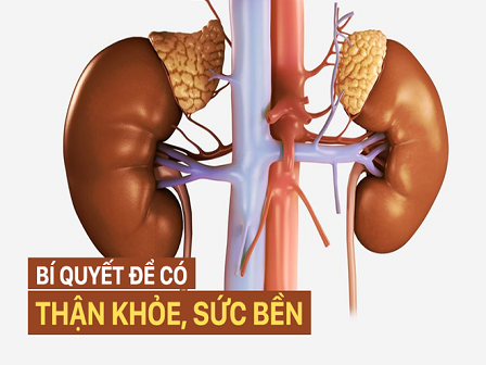Giải pháp bảo vệ và chăm sóc thận: Cách làm đơn giản, kết quả khả quan!