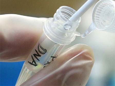 Xôn xao clip bố chồng và nàng dâu trong nhà nghỉ-3